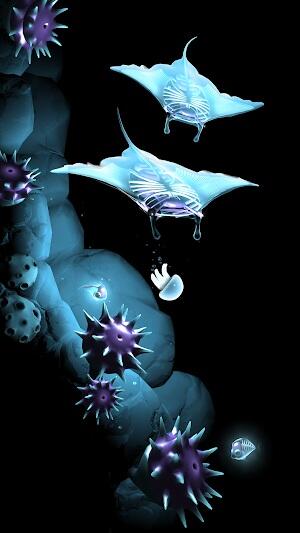 seashine apk download