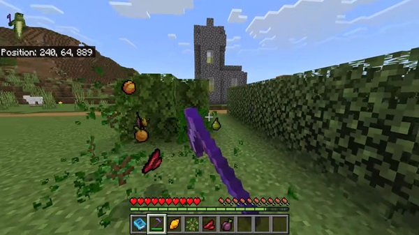 More Food Addon mcpe