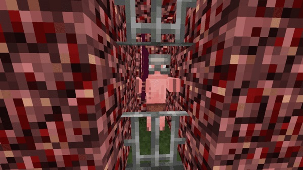 The Mimic Vita Carnis Addon