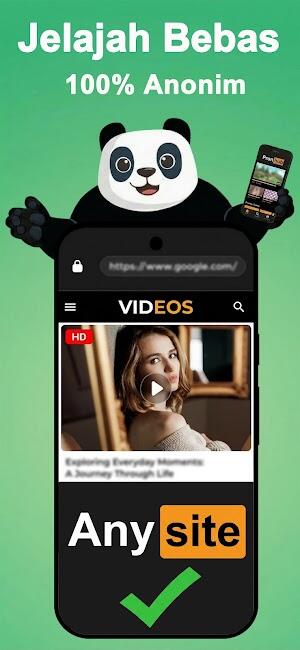 panda vpn pro apk vip unlocked